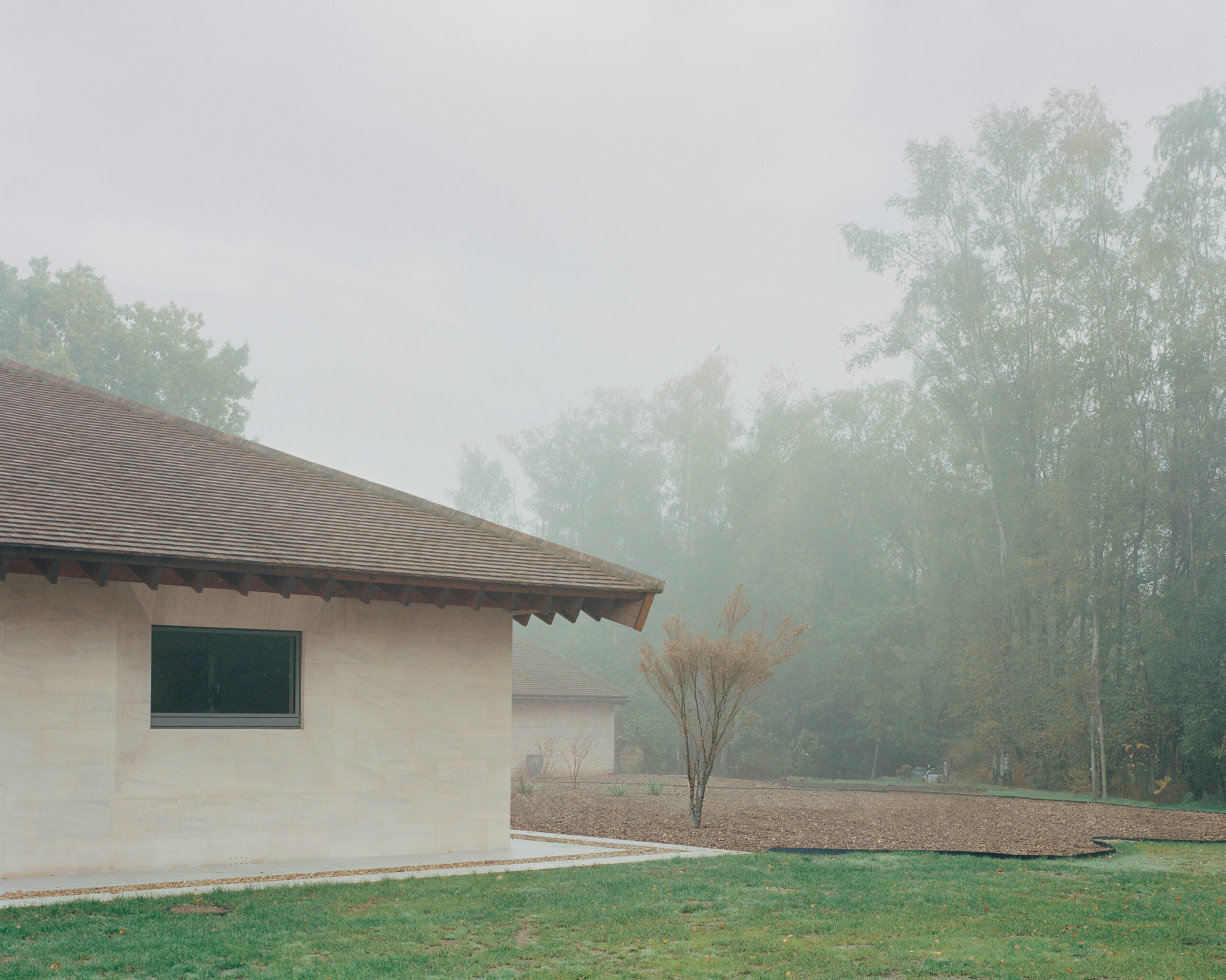 Hazy picture of the woodlands surrounding new retirement home